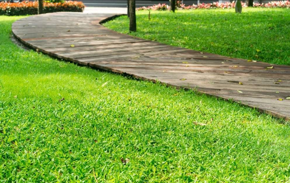 Landscaping Grass